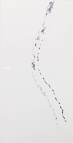 スノーブル-FS特別見本帳