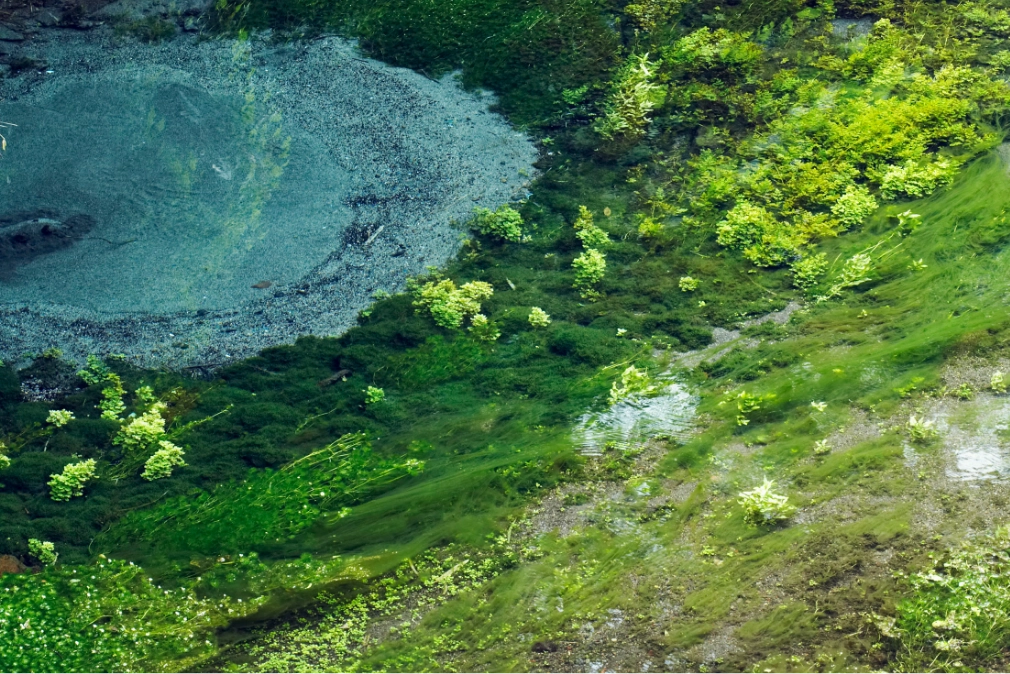 サステナビリティ